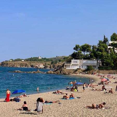 Maison De Flo Centre Historique Argeles Sur Mer Bagian luar foto